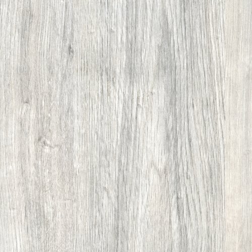 Rovere Artico