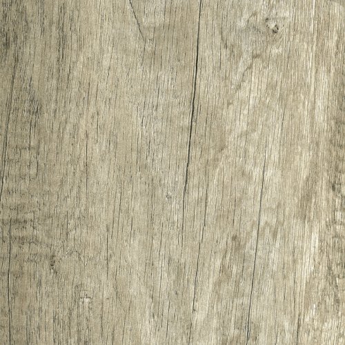 Quercia Nordica