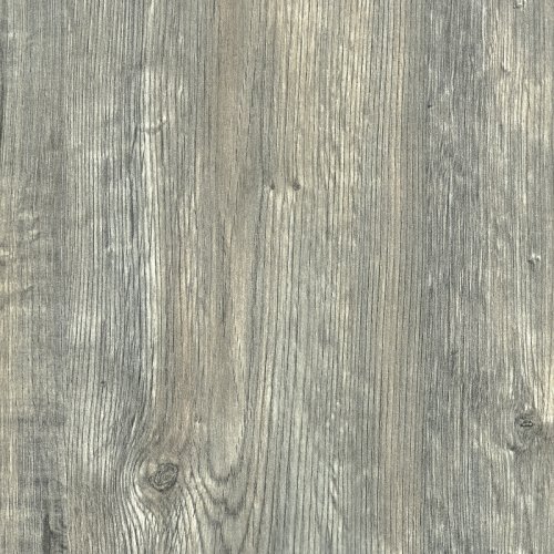 Quercia Grigia